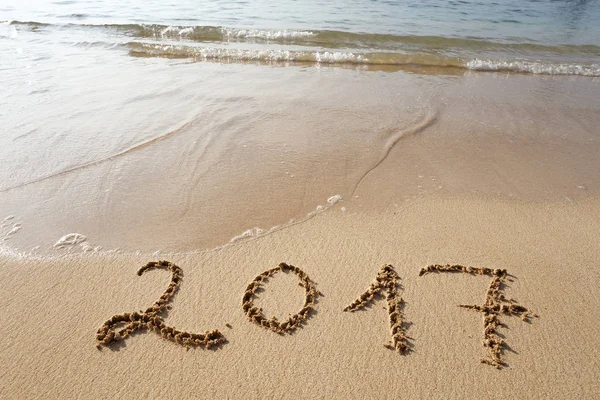 Sahil kumu 2017 yazı