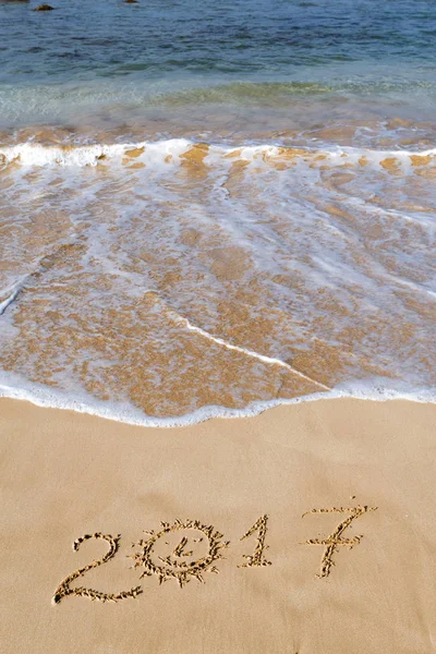 Sahil kumu 2017 yazı