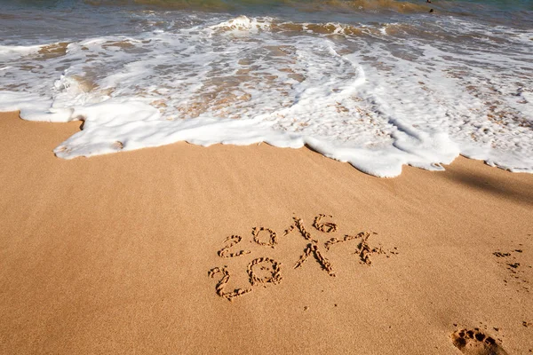 Sahil kumu 2017 yazı