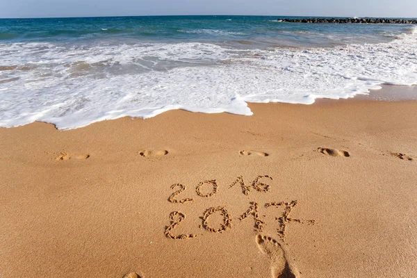 Sahil kumu 2017 yazı