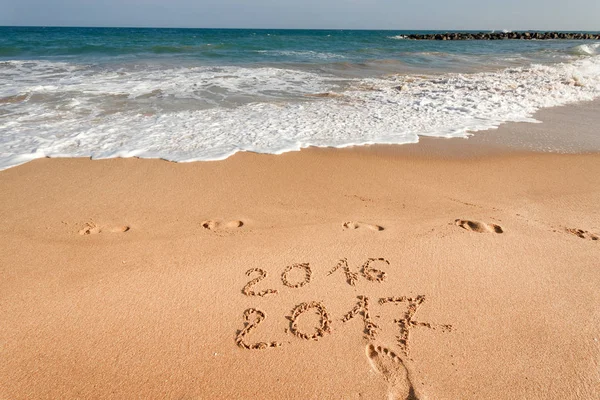 Sahil kumu 2017 yazı