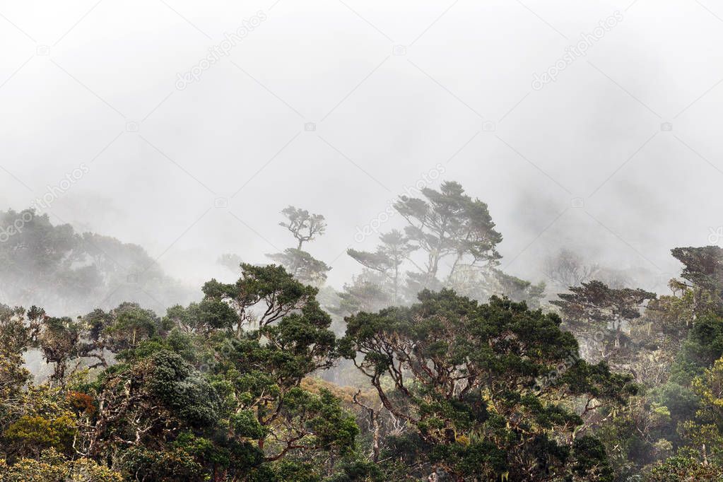 Landscape in tropical mountains