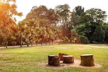 Botanik Bahçesi yeşil doğada