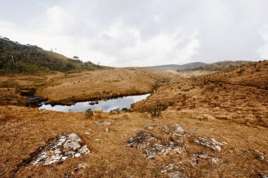 güzel tropikal peyzaj