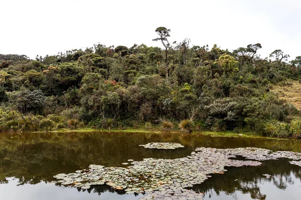 Bellissimo paesaggio tropicale — Foto Stock