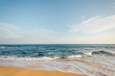 tropikal plaj manzara