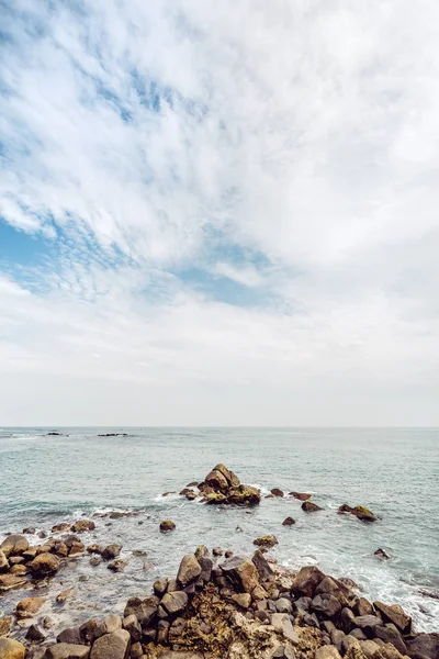 tropikal plaj manzara