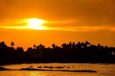 tropikal plaj manzara