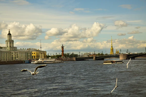 Veduta dell'argine universitario del fiume Neva . — Foto Stock