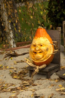  Balkabağına Ludwigsburg kasaba parkta yapılan resimler.