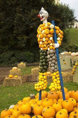  Balkabağına Ludwigsburg kasaba parkta yapılan resimler.