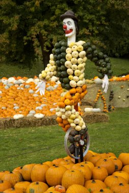  Balkabağına Ludwigsburg kasaba parkta yapılan resimler.