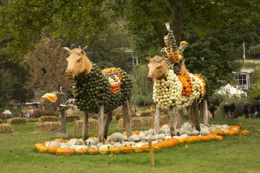  Balkabağına Ludwigsburg kasaba parkta yapılan resimler.