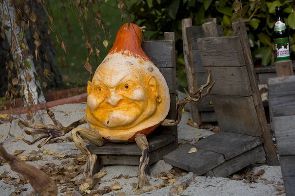 Balkabağına Ludwigsburg kasaba parkta yapılan resimler.