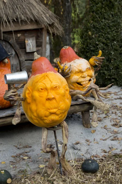 Balkabağına Ludwigsburg kasaba parkta yapılan resimler.