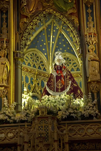 Μούρθια Ισπανία Απριλίου 2017 Εσωτερικό Του Καθεδρικός Ναός Εκκλησία Της — Φωτογραφία Αρχείου