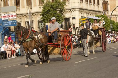 Murcia, İspanya, 18 Nisan 2017. Murcia bahar festivali. Şehrin sokaklarında Ulusal kostümleri alayı. 