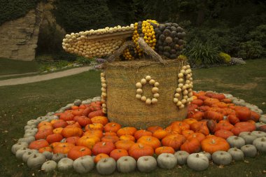 Ludwigsburg, Almanya , 22 Eylül 2018. Ludwigsburg, Almanya kasabasında ki parkta bir balkabağı yapılan rakamlar.
