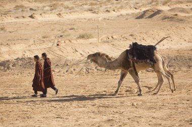 DOUZ, TUNISIA. 20 Aralık 2018 'de. Douz, Tunus 'ta Sahra Festivali.