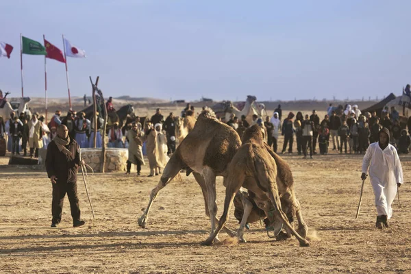 Douz Tunisia Dicembre 2018 Festival Del Sahara Douz Tunisia Lotte — Foto Stock