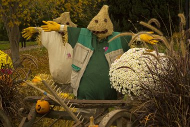 Stuttgart, Almanya, 08 Kasım 2018. Almanya 'nın Stuttgart kentindeki Wilhelma Hayvanat Bahçesi' nde Cadılar Bayramı kurulumu.