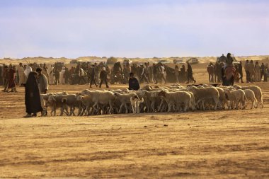 DOUZ, TUNISIA. 20 Aralık 2018 'de. Douz, Tunus 'ta Sahra Festivali.