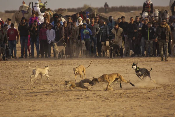 Douz Tunisia December 2018 Festival Sahara Douz Tunisia — Stock Photo, Image