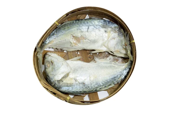 Ikan Mackerel diisolasi pada warna putih dengan tapak kliping — Stok Foto