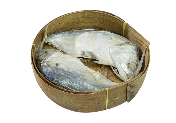 Скумбрія риби ізольовані на білому із відсічним контуром — стокове фото