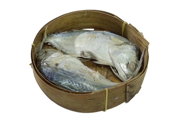 Sarda Peixe isolado em branco com caminho de recorte — Fotografia de Stock