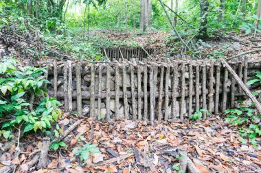 Derin bir ormandaki onay Barajı