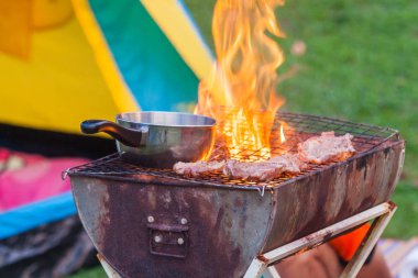 Vahşi doğada barbekü, ızgara gibi taş toplamak.