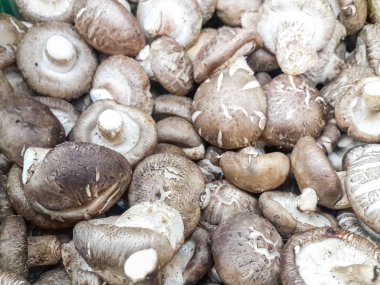 kurutulmuş shiitake mantar yemek arka planı kapat.