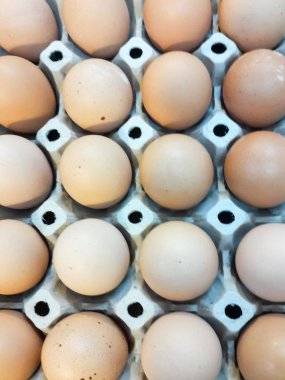 Kahverengi organik yumurta kafesi-ücretsiz