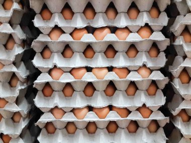 Kahverengi organik yumurta kafesi-ücretsiz