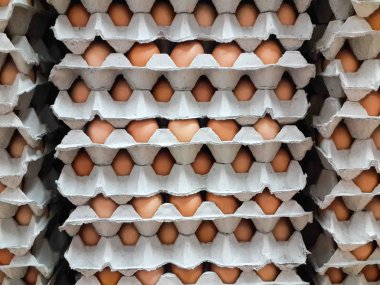 Kahverengi organik yumurta kafesi-ücretsiz