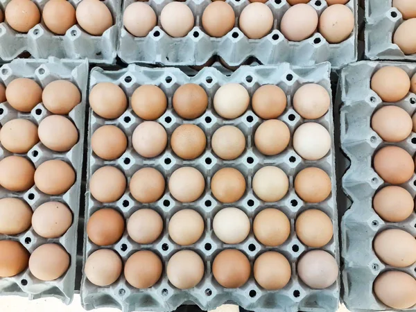 茶色の有機ケージフリー卵 — ストック写真