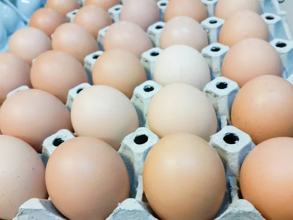 茶色の有機ケージフリー卵 — ストック写真