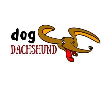 köpek resmi dachshund, komik dachshund, dachshund köpek