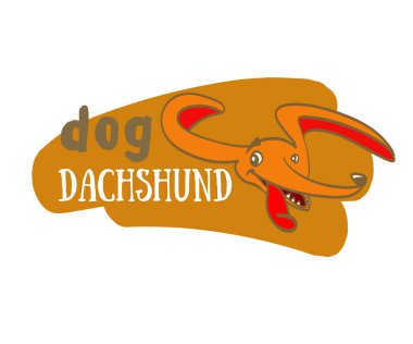 köpek resmi dachshund, komik dachshund, dachshund köpek