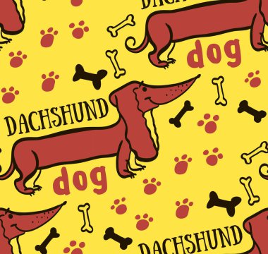 sorunsuz arka plan dachshund köpek