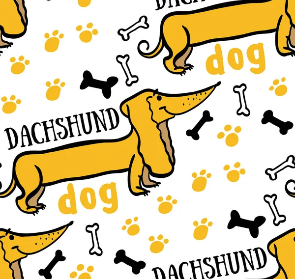 Naadloze achtergrond teckel hond — Stockvector