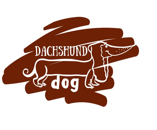 Perro foto dachshund, divertido dachshund, perro dachshund — Archivo Imágenes Vectoriales