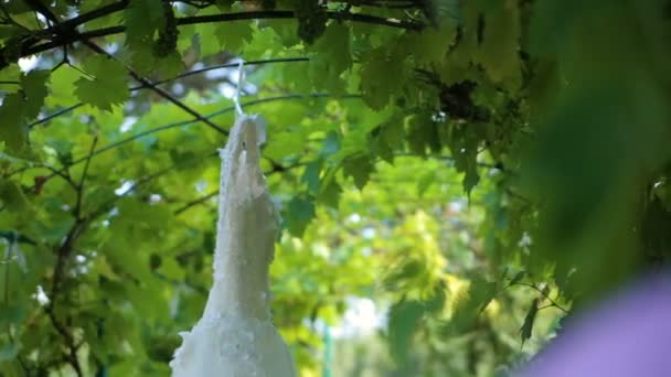 Un vestido de novia colgado de un árbol en el jardín — Vídeo de stock