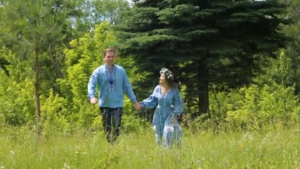 年轻的夫妇在绿色的田野在春天或夏天，一般计划的乐趣 — 图库视频影像