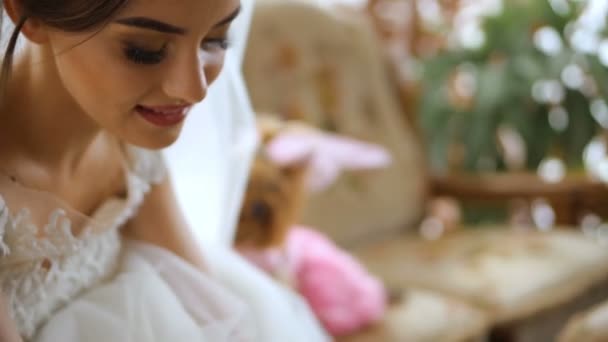 Yorkshire Terrier and bride on her wedding day. — Stock Video