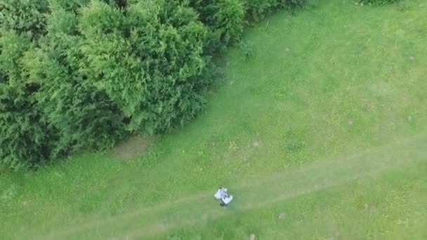 Casal jovem se divertindo no campo verde na primavera ou verão, plano geral — Vídeo de Stock