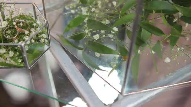 Dos anillos de boda en una caja de vidrio con flores en un restaurante caro, cafetería, bar . — Vídeo de stock