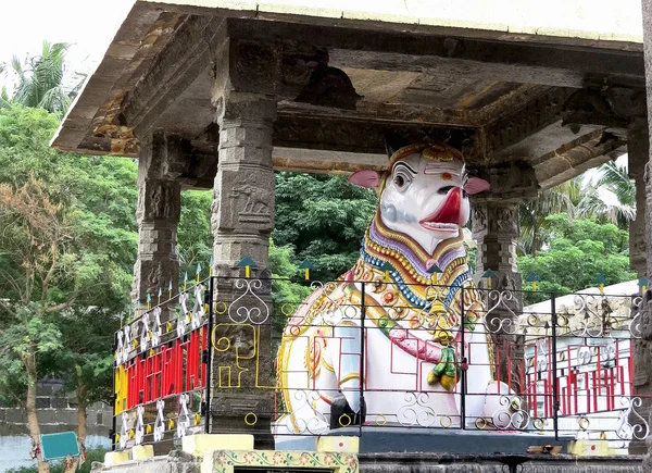 Статуя быка Нанди, Господа Шивы верхом на животном, перед древним храмом Экамбаресварар, XVI век, Канчипурам, Индия — стоковое фото