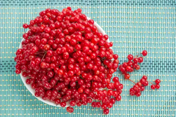 Red viburnum berries in white plate on blue underlay — Stock Photo, Image
